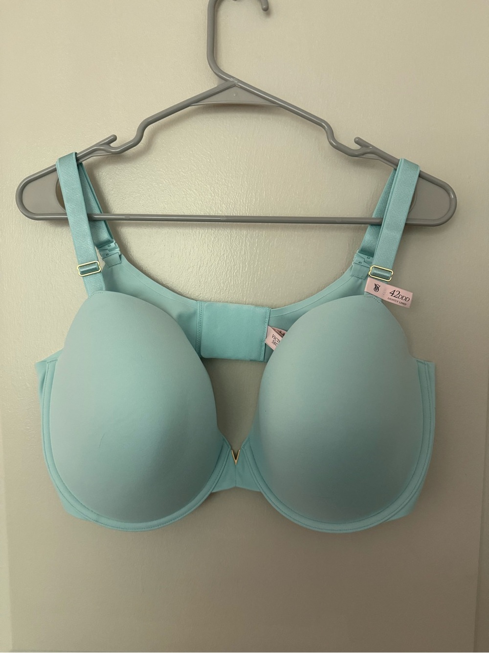 Light blue lightly lined Demi bra NWT
